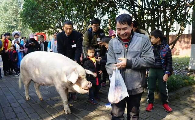  2020年1月16日猪坚强搬家。图源：樊建川微博