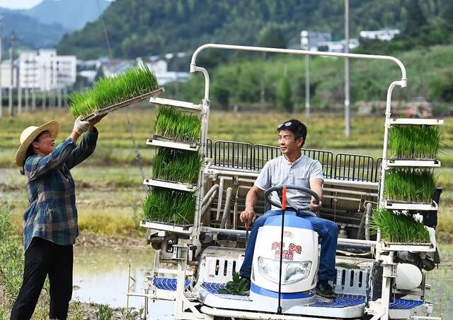 对实际种粮农民发放补贴、全面推广高速公路差异化收费……本周民生大事快来看