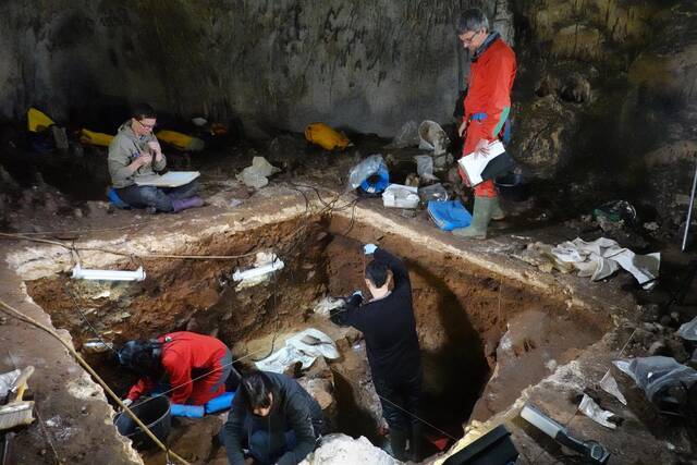研究西欧和西伯利亚南部的洞穴古沉积物揭示尼安德特人人口历史