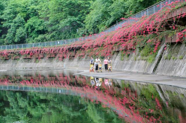 市民在盘溪河步道散步休闲。曹检摄