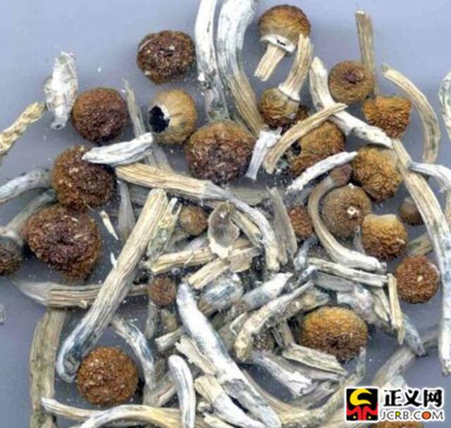 在男友诱骗下吃下“蘑菇巧克力”