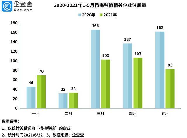 杨梅在国外成“高端水果”！企查查：全国有近万家杨梅种植企业