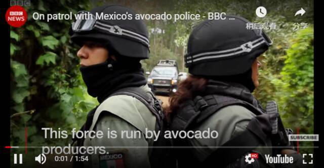 墨西哥牛油果生产商雇佣的“牛油果警察”（BBC视频截图）