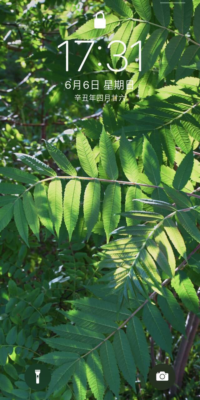 毕业季｜请带上定格在夏日的东师记忆，迈向你的锦绣前程！