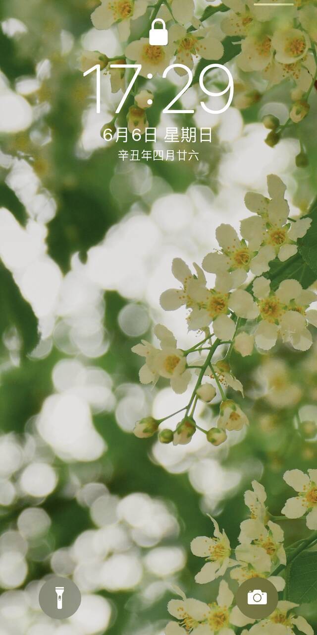 毕业季｜请带上定格在夏日的东师记忆，迈向你的锦绣前程！