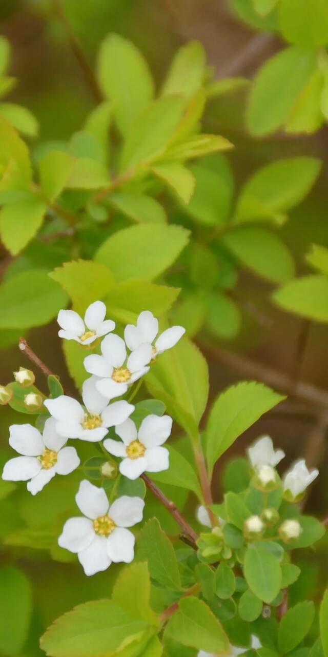 毕业季｜请带上定格在夏日的东师记忆，迈向你的锦绣前程！