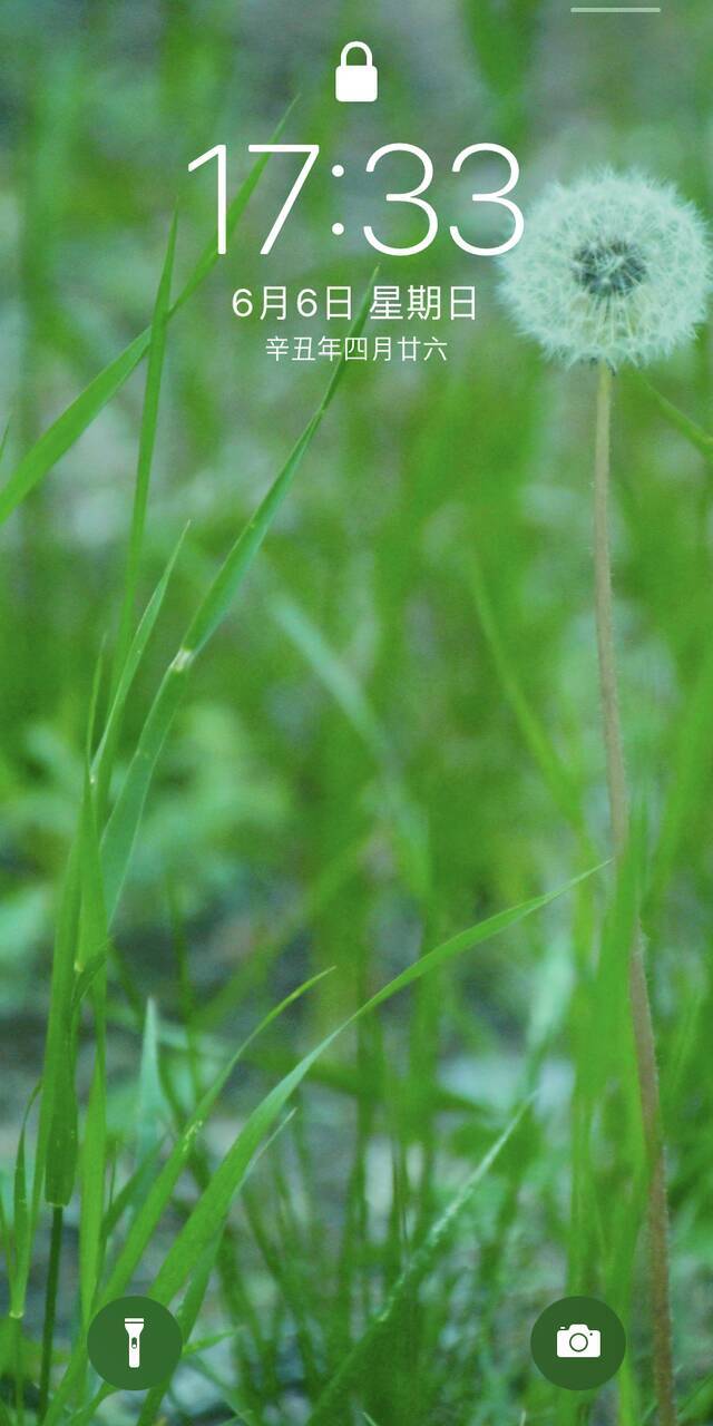 毕业季｜请带上定格在夏日的东师记忆，迈向你的锦绣前程！