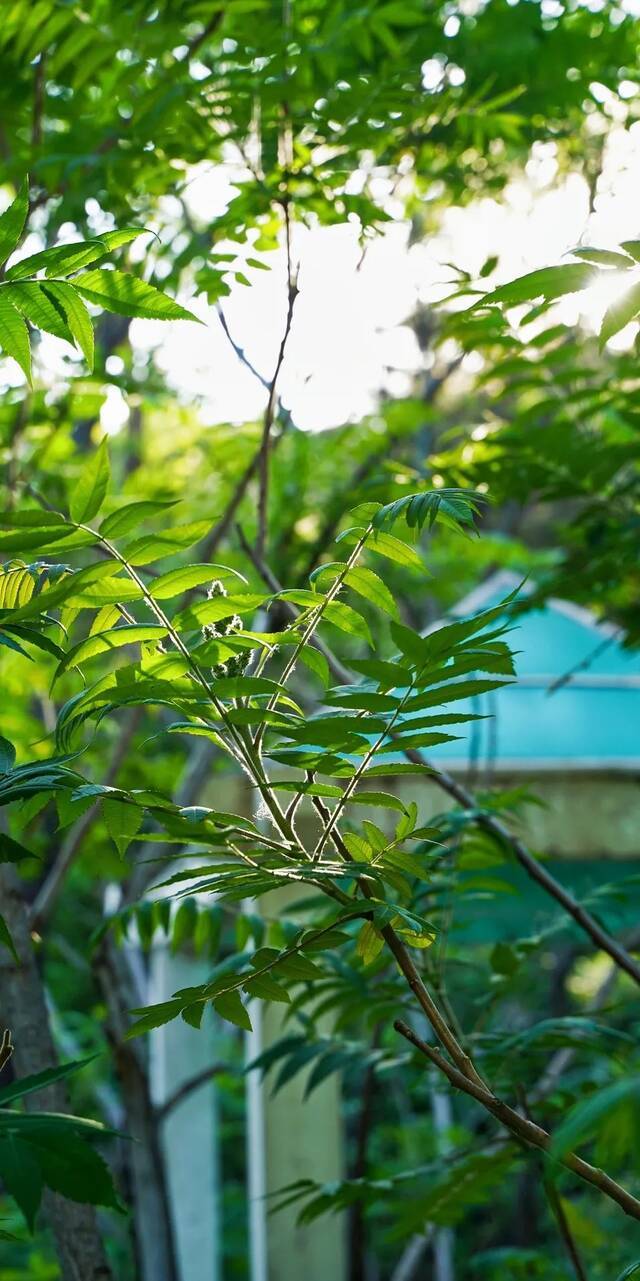 毕业季｜请带上定格在夏日的东师记忆，迈向你的锦绣前程！