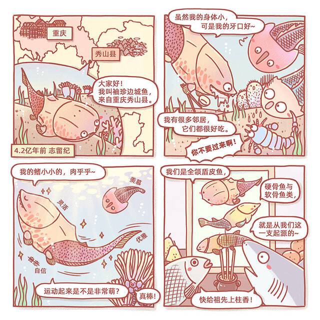 “漫”话古鱼之袖珍边城鱼（作者：烨子）