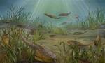 重庆秀山发现的志留纪“袖珍边城鱼” 为现代有颌类起源和牙齿早期演化提供重要实证