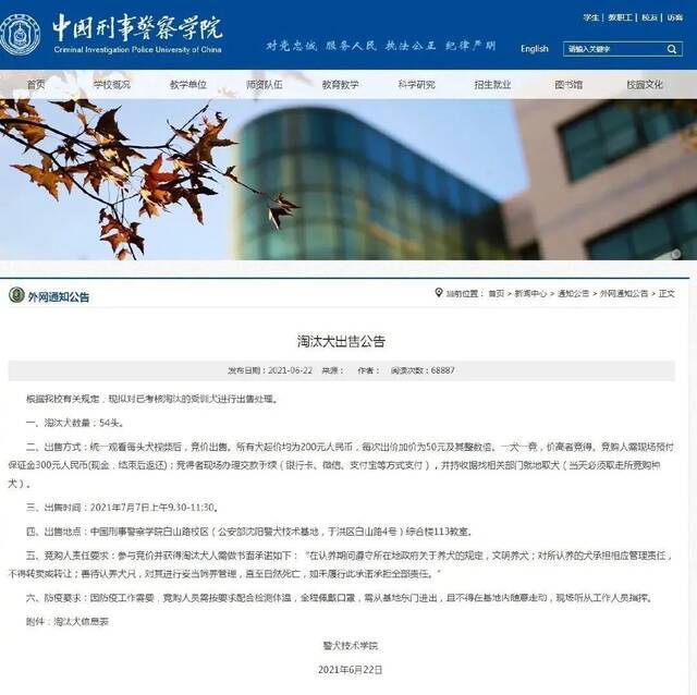 △淘汰犬出售公告。图自中国刑事警察学院