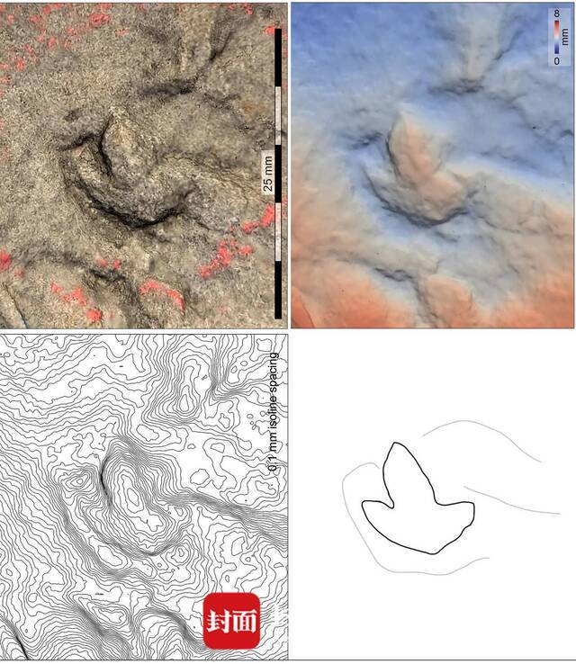 四川自贡发现中国最小恐龙足迹 “麻雀恐龙”脚印约10毫米比1角硬币还小