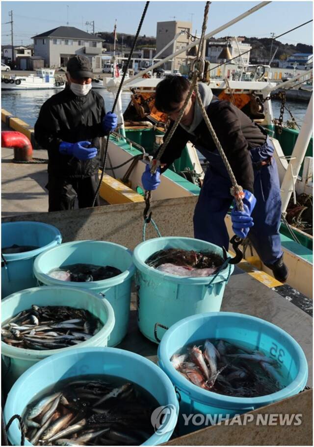 2021年3月4日，日本福岛县，工作人员在装鱼