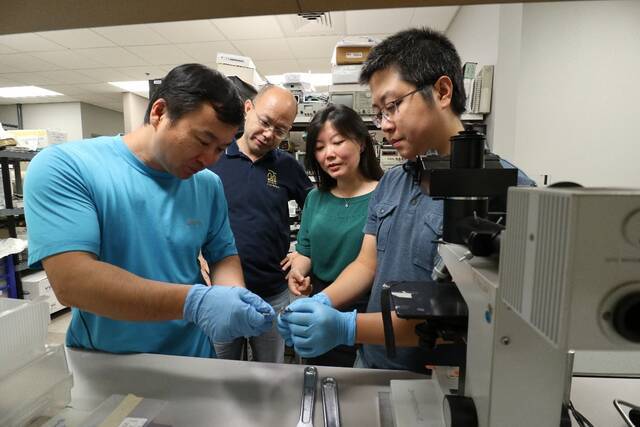 姜汉卿博士和他在亚利桑那州立大学的团队在研制折叠电池西湖大学图