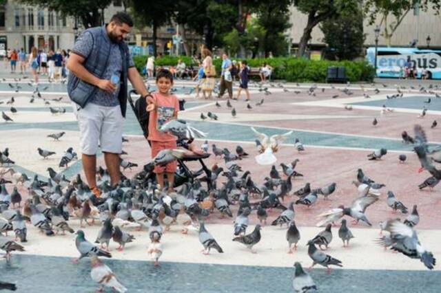 6月26日，人们在西班牙巴塞罗那的加泰罗尼亚广场喂鸽子。（新华社记者张铖摄）