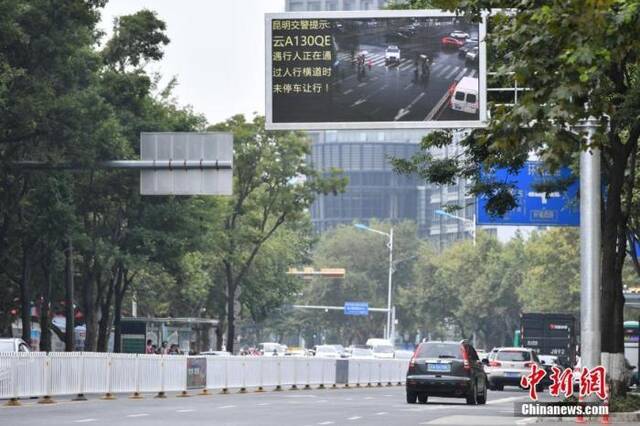 资料图：昆明街头的电子屏曝光不礼让斑马线车辆。中新社记者任东摄