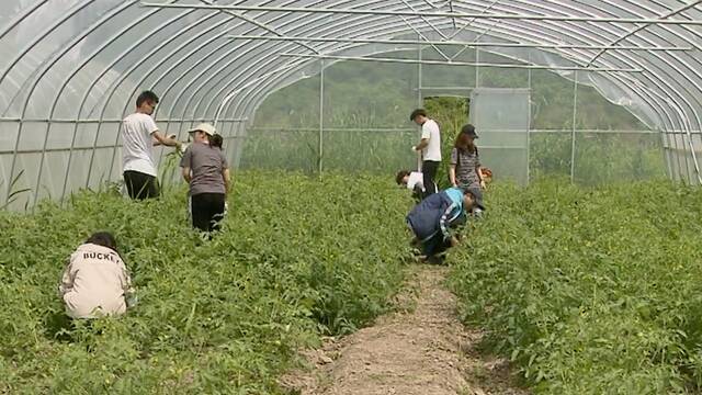 视频｜上海交大的这堂