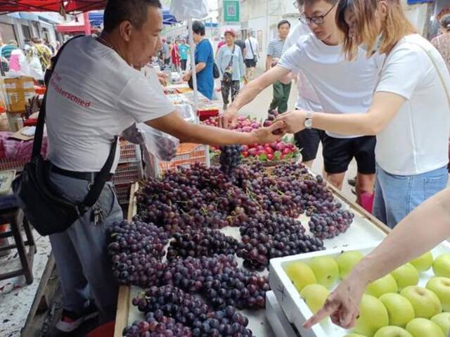 昨日，在荣巷农贸市场，市民在购买新鲜葡萄。（郑宙摄）