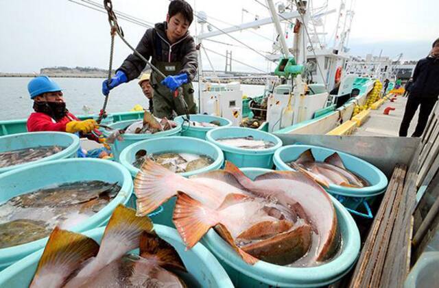 福岛比目鱼资料图