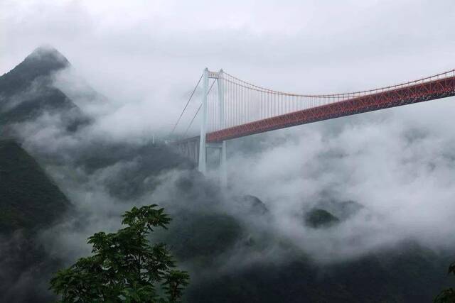 视频｜百年画卷丨站在240米高的云雾大桥上能看到什么?