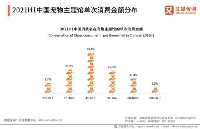 我们体验了猫咖，发现并不挣钱