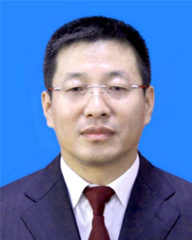 王子联任吉林省长春市副市长、代市长