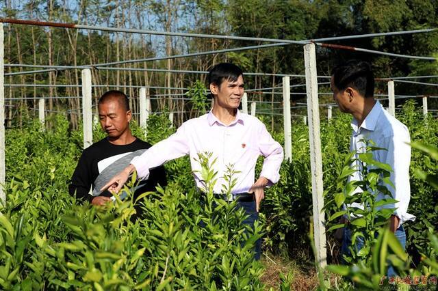 蒋佳刚（居中）到恭城镇庄埠村脱贫户彭明连家的柑橘园调研指导。