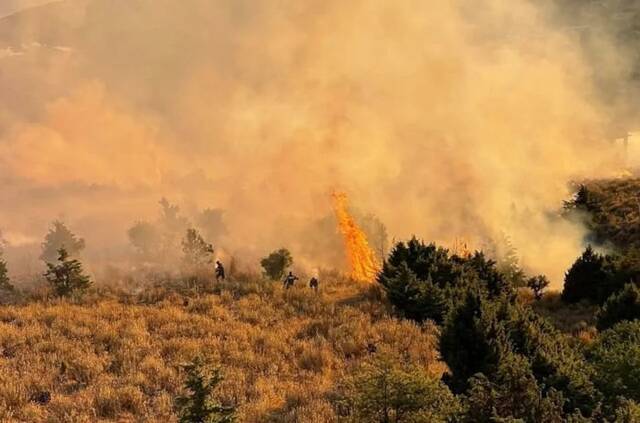 希腊高温持续 各地共发生64起山林火灾