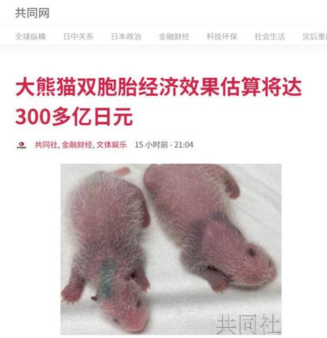 日媒：东京上野动物园双胞胎大熊猫公开亮相后，一年内经济效果估算将超300亿日元