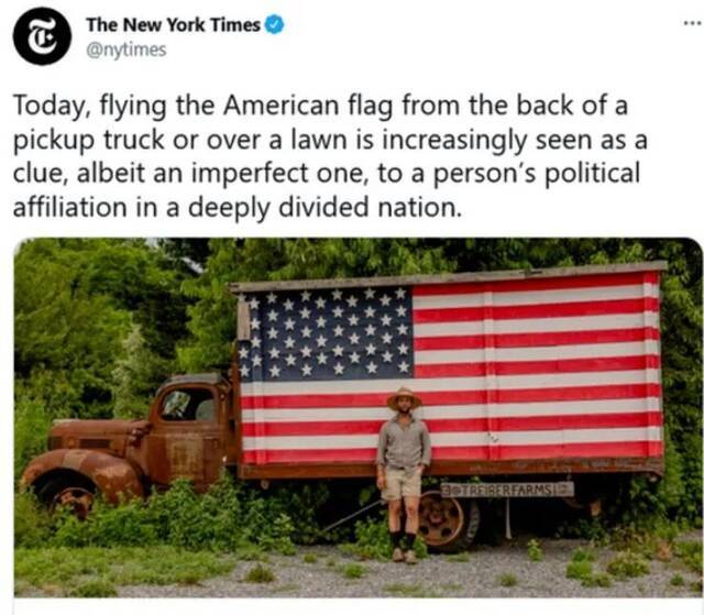 《纽约时报》被爱国群众骂惨了