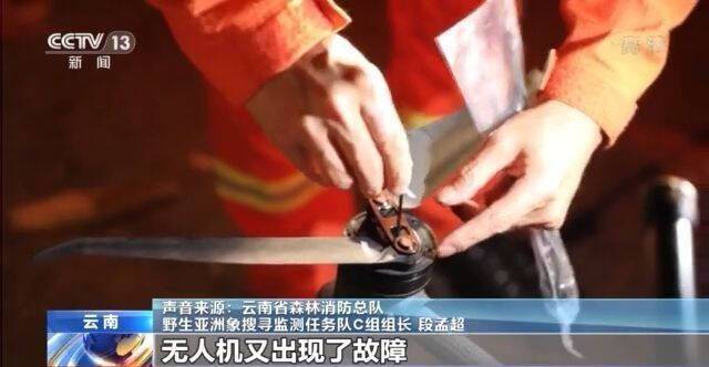 “象”往何处？他们在雨雾中追寻象群