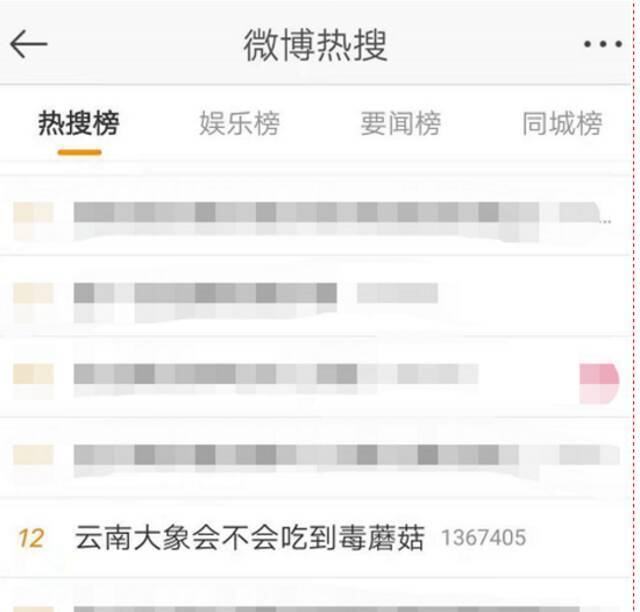 云南大象会不会吃到毒蘑菇？1亿网友围观操碎了心