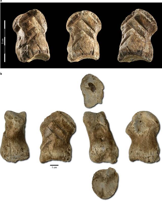 德国北部哈兹山脉发现5.1万年前尼安德特人的骨雕作品