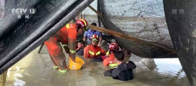 浙江台州多部门联合 成功救起9头瓜头鲸