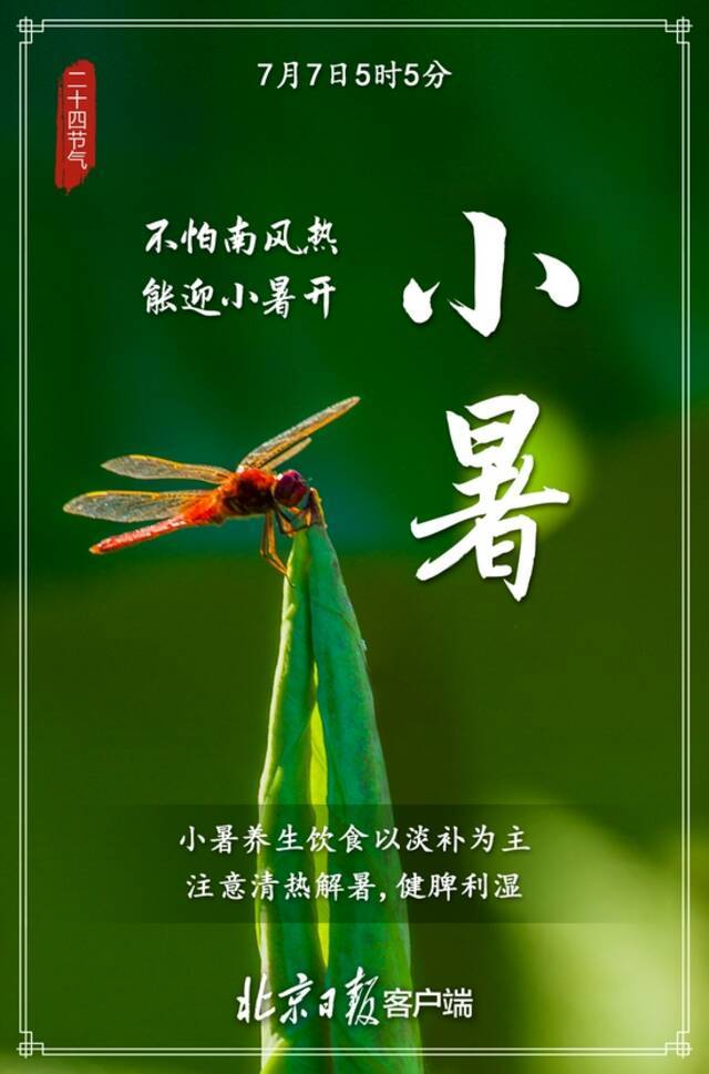 今日小暑，你准备好迎接最热三伏天了吗？