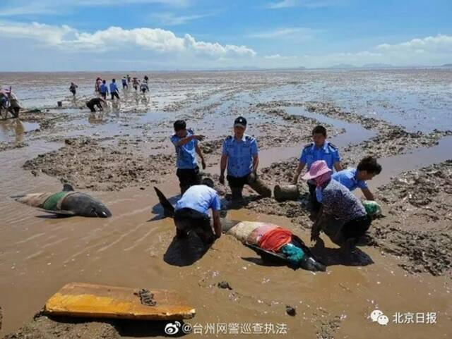 “你们救鲸鱼都这么拼，何况是救人！”