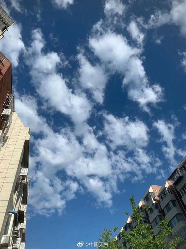 看！今早北京湛蓝的天空飘来一朵朵“棉花糖”