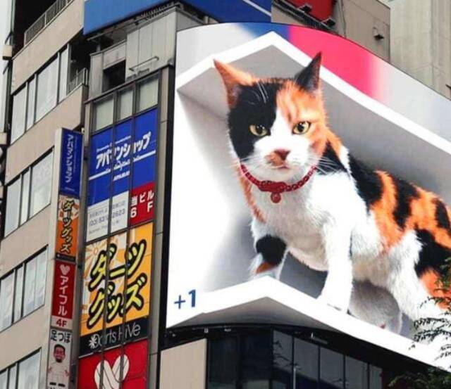 巨型3D猫咪亮相日本东京街头引路人围观