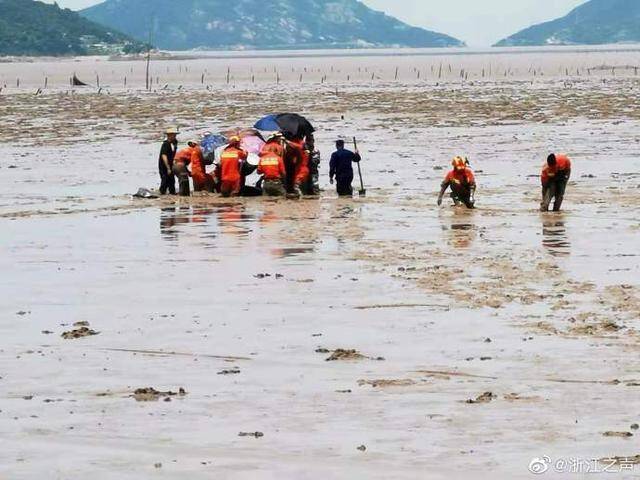 浙江台州海域两头疑似鲸类海洋生物搁浅，多部门正救援