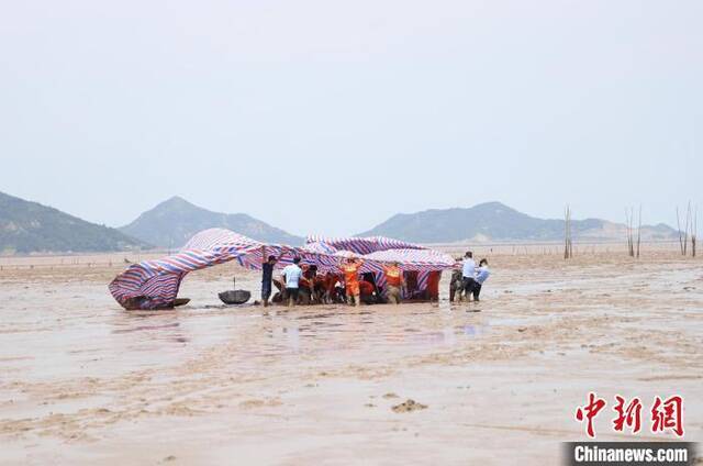 浙江温岭救护瓜头鲸现场台州消防供图