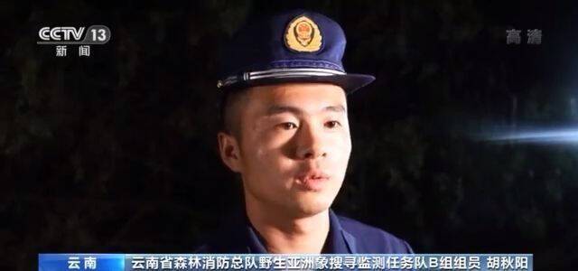 云南野象短时“失联” 监控人员紧急联动搜寻