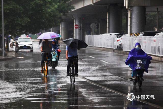 图为北京市海淀区的降雨情况，拍摄/王晓。