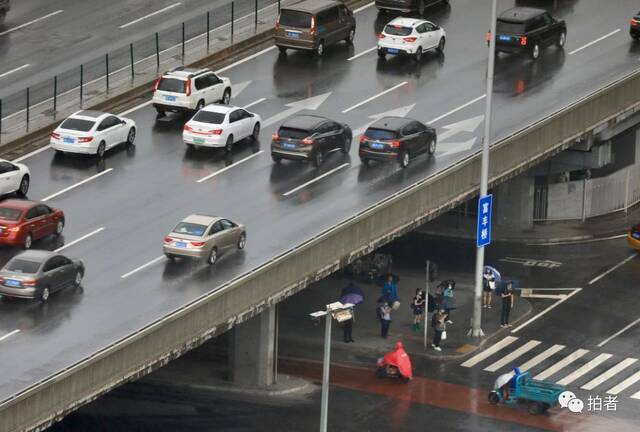 7月12日，富丰桥，上班市民在大雨中等候过马路。摄影/新京报记者浦峰