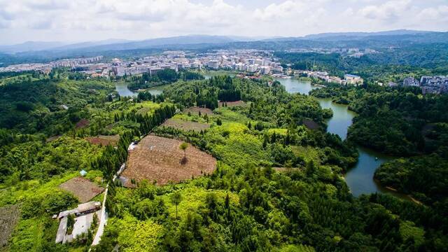 黄水黄连种植基地石柱县委宣传部供图