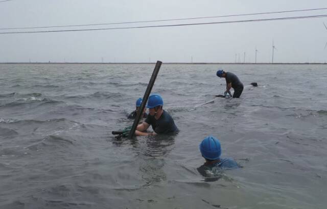 山东滨州多地大暴雨 1.2万户居民用电受到影响