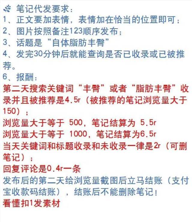 一篇“变美日记”的代发要求及收费标准。受访者供图