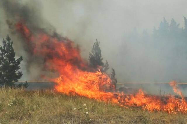 俄罗斯萨哈共和国森林大火肆虐 总过火面积超130万公顷