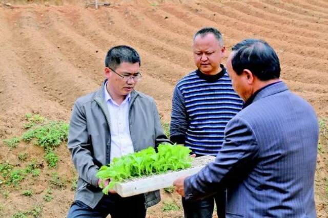 聂金辉（左）在剑川县弥沙乡调研时了解当地产业发展情况（二〇一六年四月二十八日摄）。新华社发（剑川县融媒体中心供图）