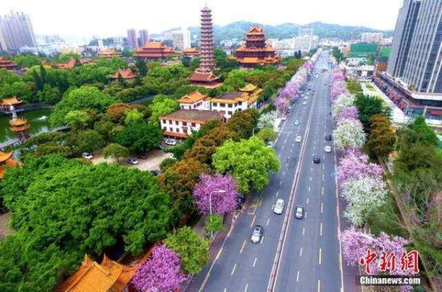 位于福州市中心的千年古寺——西禅寺王东明摄