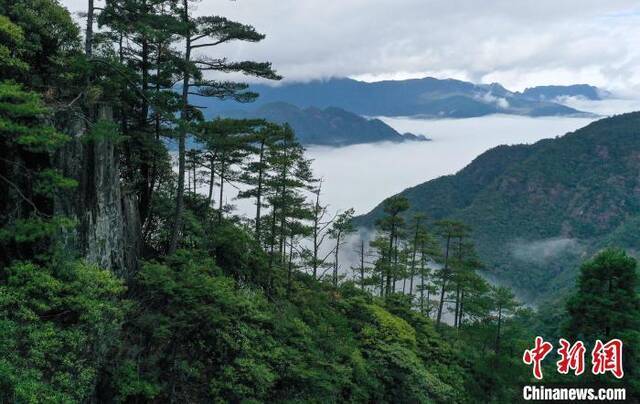 图为武夷山国家公园一景。(资料图)黄海摄